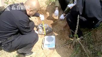 吃瓜奇葩爸爸视频,亲子互动新潮流