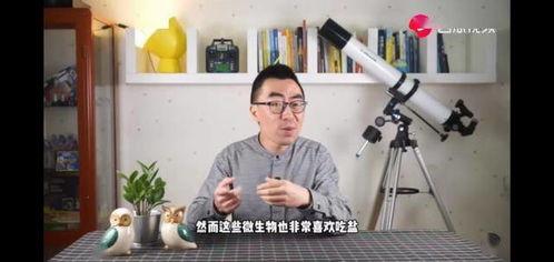 义父蔡铭吃瓜视频,揭秘娱乐圈幕后风云