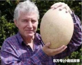 吉尼斯吃瓜视频,吃瓜速度大比拼，谁将成为瓜界王者？