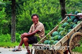 今天网上吃瓜视频是真的吗,真假难辨，真相几何？