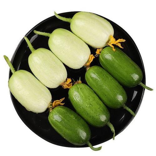 瓜如何吃更更美味视频讲解,视频揭秘美味瓜果的吃法技巧