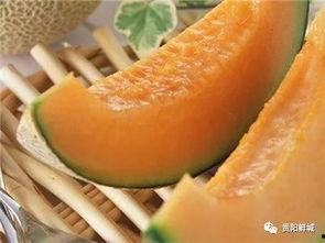 贤哥吃哈密瓜视频,甜蜜滋味，尽享夏日清凉