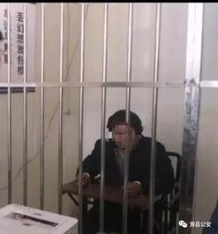 滑县吃瓜事件始末视频,一场网络舆论的风暴与反思