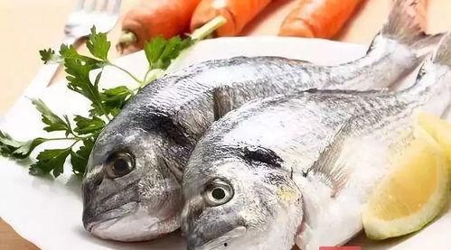 小鱼爱吃鱼吃瓜视频大全,趣味视频大全，鱼儿吃瓜笑翻天