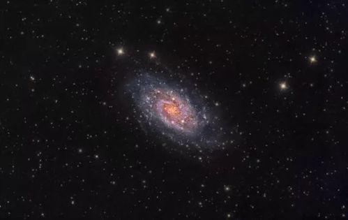 星空瓜怎么吃才好吃视频,视频教你轻松解锁最佳口感