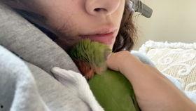 小白瓜怎样掰头吃视频,视频教学让你轻松上手