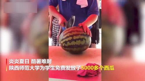 大学舞蹈视频 吃瓜,揭秘大学校园里的欢乐时光