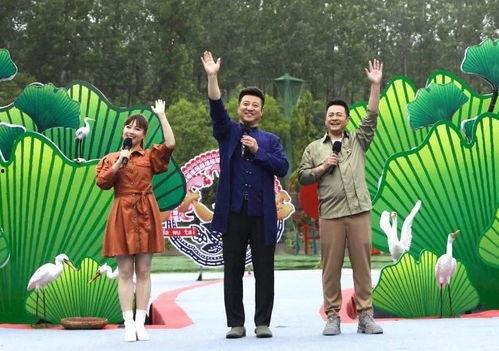 河北关于吃瓜视频的新闻,揭秘网络舆论背后的真相