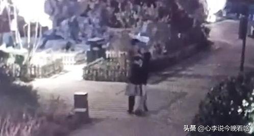 一起吃瓜吧完整视频,笑料百出，精彩纷呈