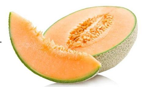 甲虫吃哈密瓜视频播放,哈密瓜美食盛宴现场直播