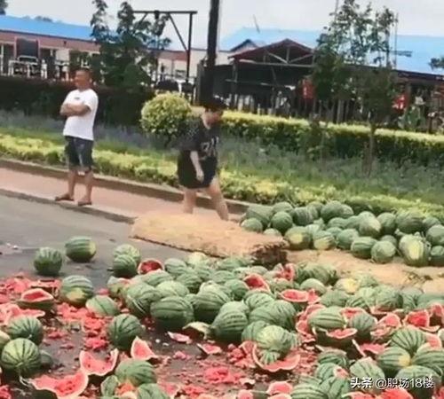 天津海教园吃瓜事件视频,校园风波背后的真相揭晓