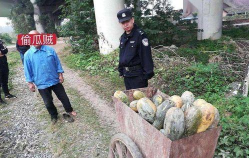 宿院吃瓜最新事件视频,最新事件视频揭秘校园热点