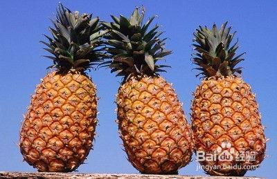 白冰吃菠萝哈密瓜视频