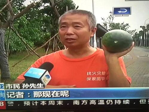 稠州吃瓜群众事件视频曝光,视频曝光揭示惊人真相