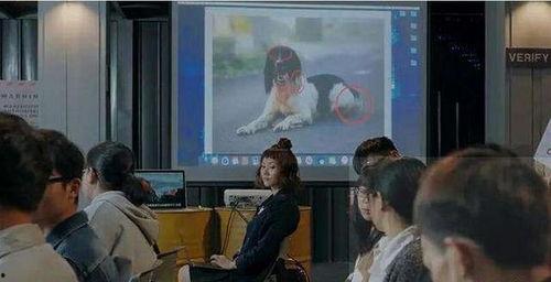 电视剧吃瓜的现场视频,一场视觉盛宴的诞生