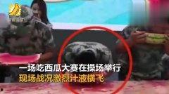 吃瓜界的王完整视频,一场娱乐与真相的碰撞