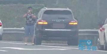 瓜子群众吃瓜视频,揭秘瓜子群众吃瓜视频背后的故事