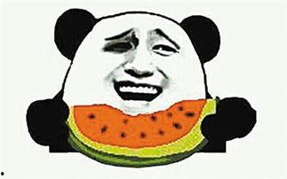 瓜子群众吃瓜视频,揭秘瓜子群众吃瓜视频背后的故事