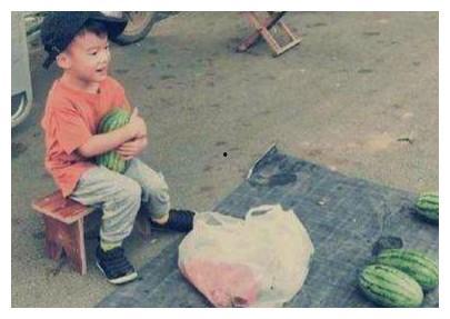 河北弟弟吃瓜事件视频,一场网络热议的瓜田奇遇