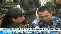 大鹏和警察吃瓜视频合集,吃瓜视频合集趣味横生，笑料百出