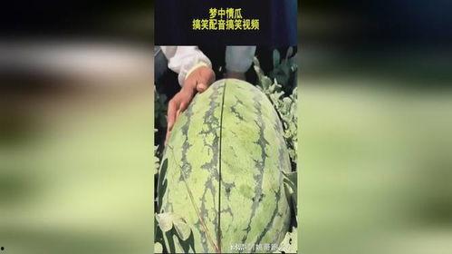 吃瓜搞怪配音视频下载安装