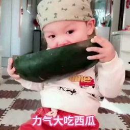 吃瓜幼崽真人视频下载,热门话题背后的真相